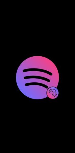 SpotiFlyer Launch Screen