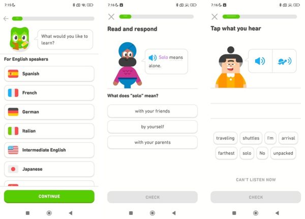 Duolingo lesson, streak and progress screens