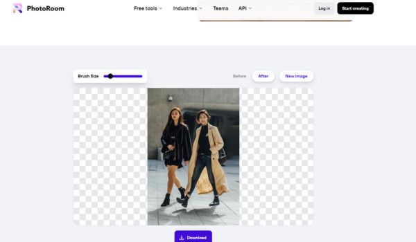 5 Best AI Tools to Remove Objects from Photos