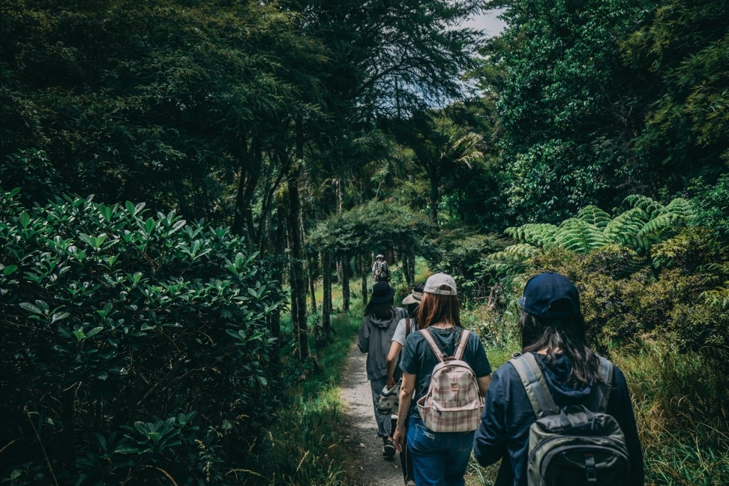 The Offline Travel Apps Every Smart Traveler Uses