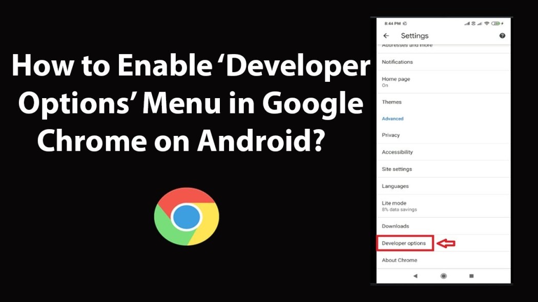 Developer Options (the menu Google doesn't show by default) screenshot