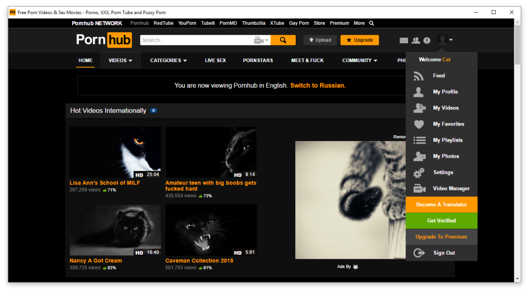 PornHub screenshot