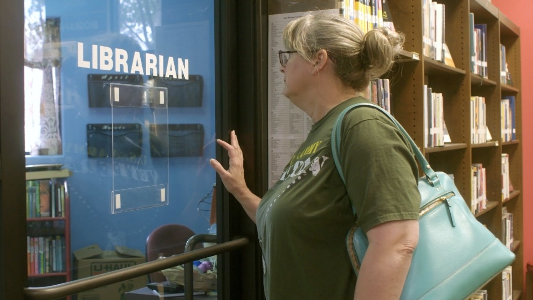 The library librarian screenshot