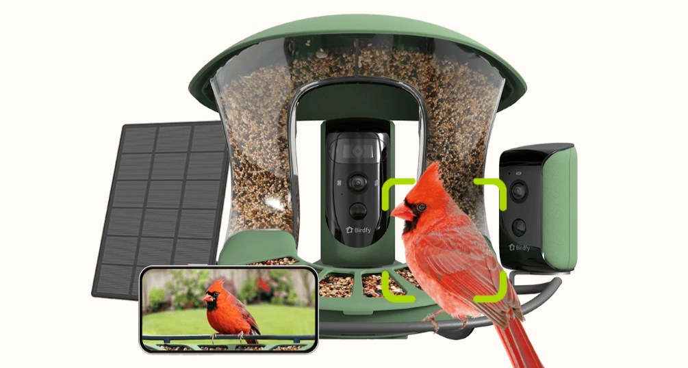 How Birdfy Turns Your Android Phone Into a Birdwatching Hub